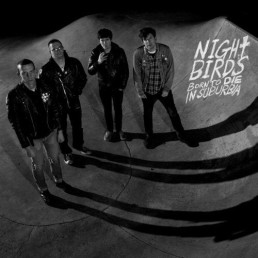 NIGHT BIRDS “born to die in suburbia” Lp