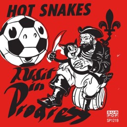 HOT SNAKES “audit in progress” Lp