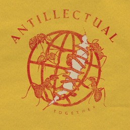 ANTILLECTUAL “together” Lp