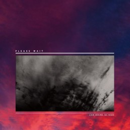 PLEASE WAIT “look around, see inside” Lp