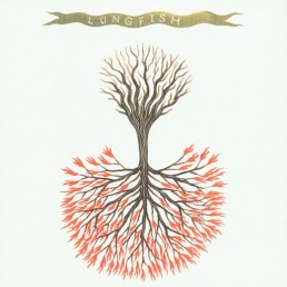 LUNGFISH “love is love” Lp