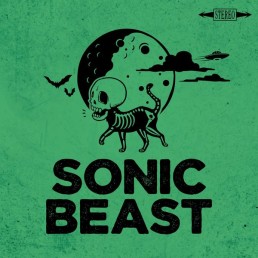 SONIC BEAST “accidental” Lp