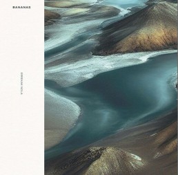 BANANAS “errekak nola” Lp