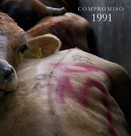 1991 “compromiso” Lp